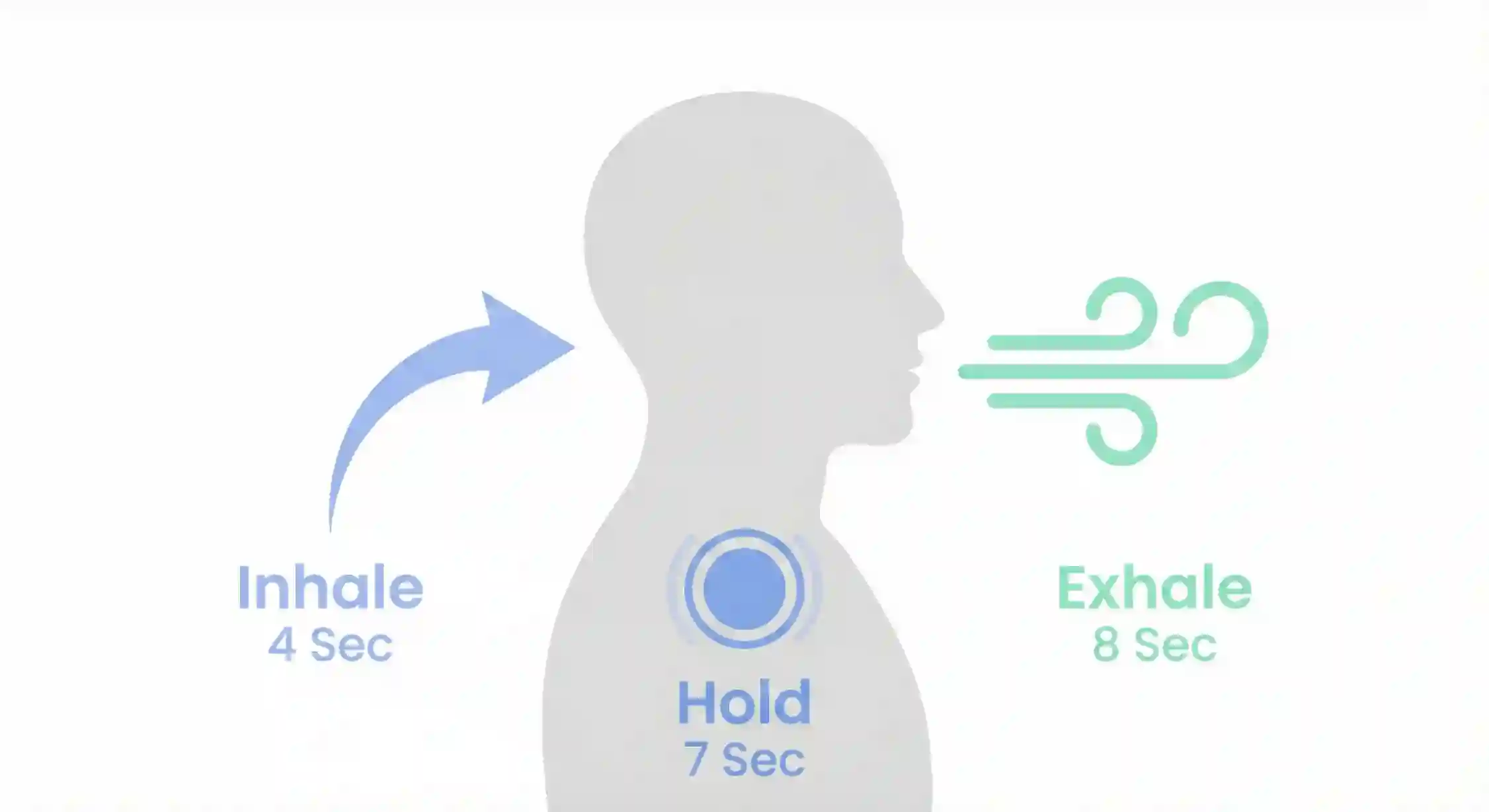 آموزش تصویری تکنیک تنفس 4-7-8 برای کنترل تپش قلب و درمان فوری پنیک.